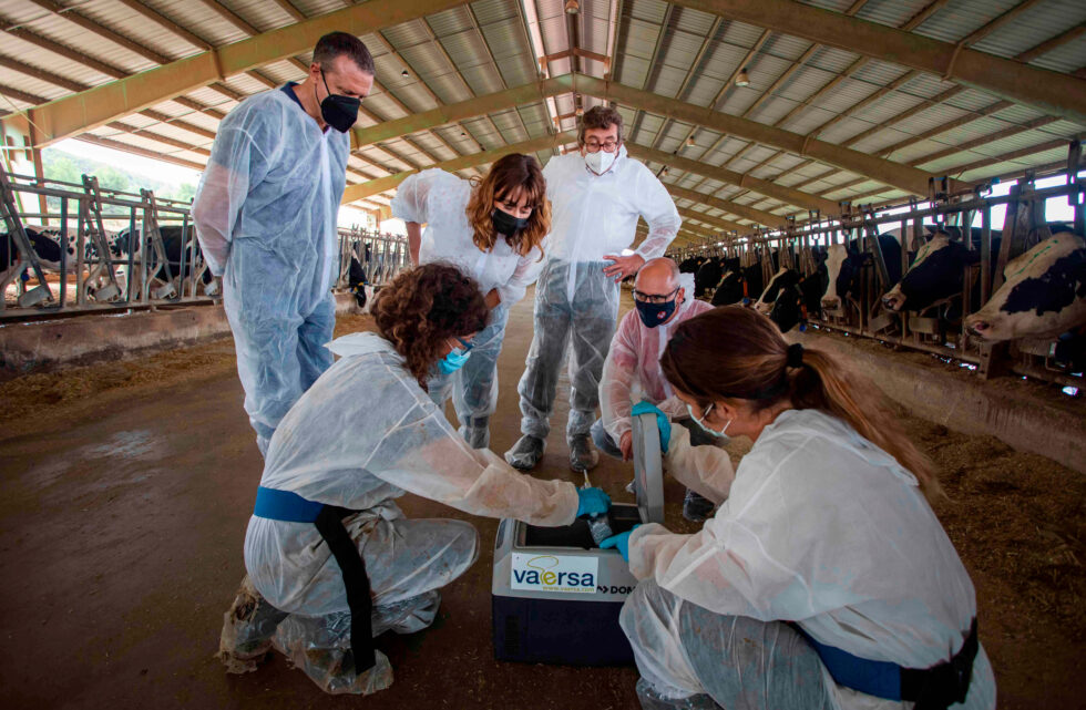 Veterinarios Comprometidos Con Una Salud Lema De La OCV Para