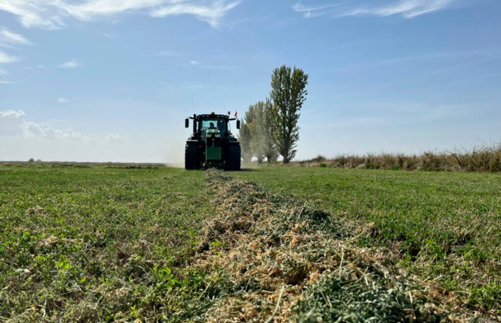 Comienza Una Campa A Catastr Fica En Alfalfa Y Forrajes De Secano Con