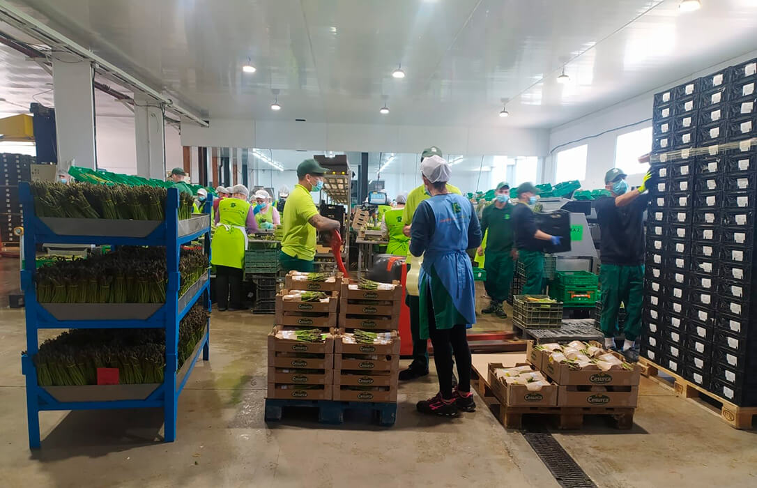 Cooperativas Agro alimentarias de Andalucía ha ejecutado alrededor de