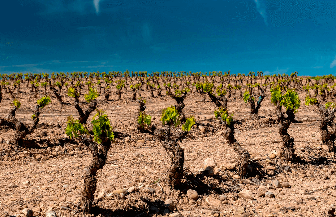 El Gobierno De La Rioja Solicita Ya Formalmente Al Ministerio La