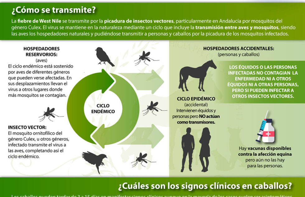 Campaña de prevención e información sobre el Virus del Nilo Occidental