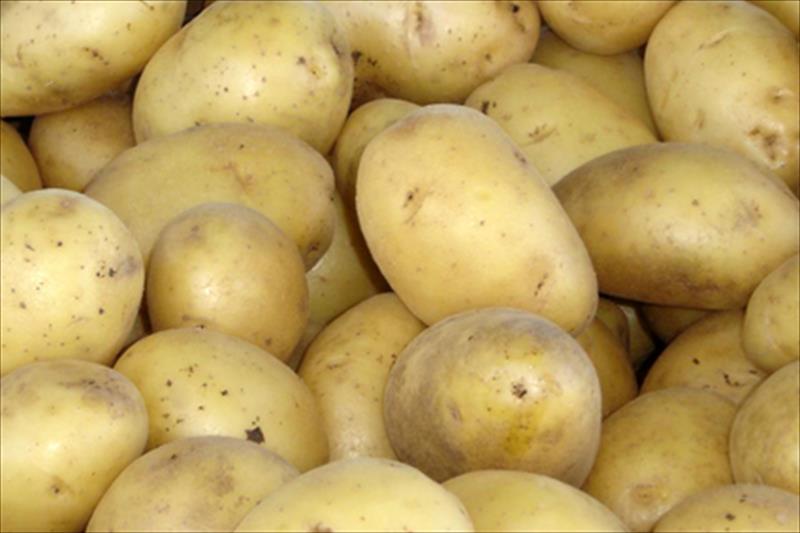 Un kilo de patatas ya se paga un ¡1.450%! más caro desde el precio de origen a destino