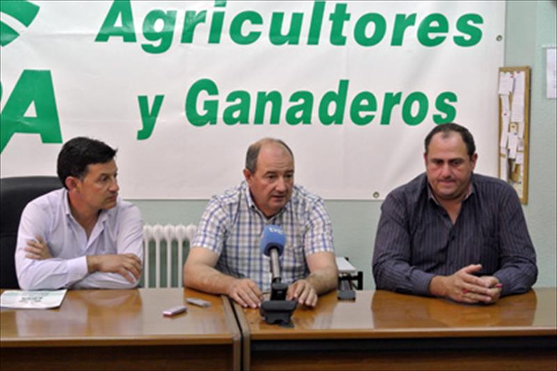 Piden que el ajo chino entre en Europa con las mismas condiciones que el de Albacete y Cuenca