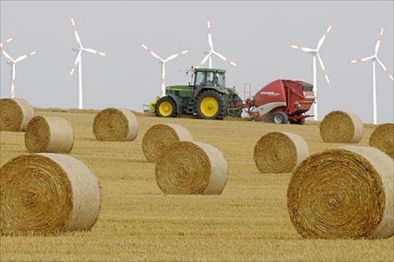 Los agricultores se unen para simplificar la PAC y evitar "recortes injustos" con el 'greening'