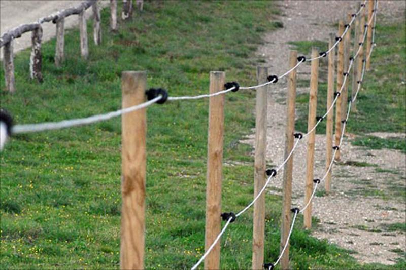Instalarán pastores eléctricos en Ávila para proteger al ganado del lobo  - Noticias -  - Tu portal de Caza y Pesca en Internet