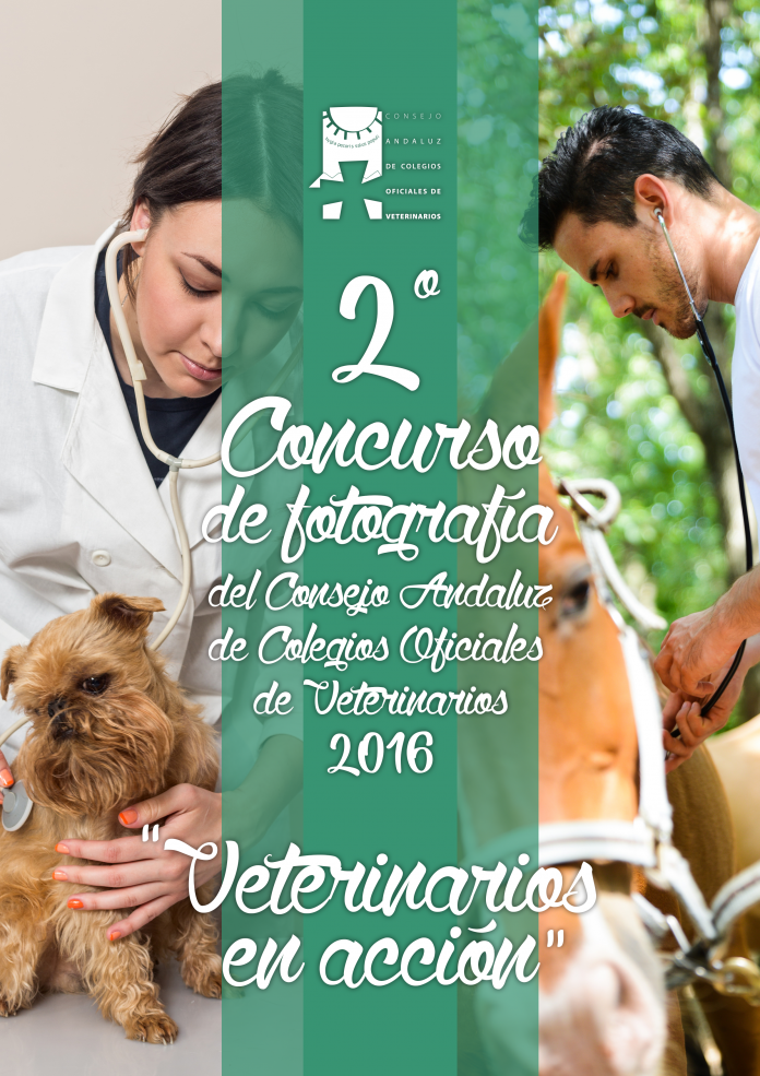 “veterinarios En Acción” Tema Del Ii Concurso De Fotografía Del Consejo Andaluz De Colegios 1722