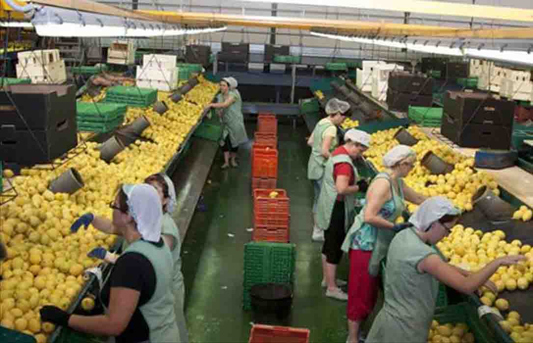 Hacienda estudiará medidas para reducir la burocracia en el sector agroalimentario