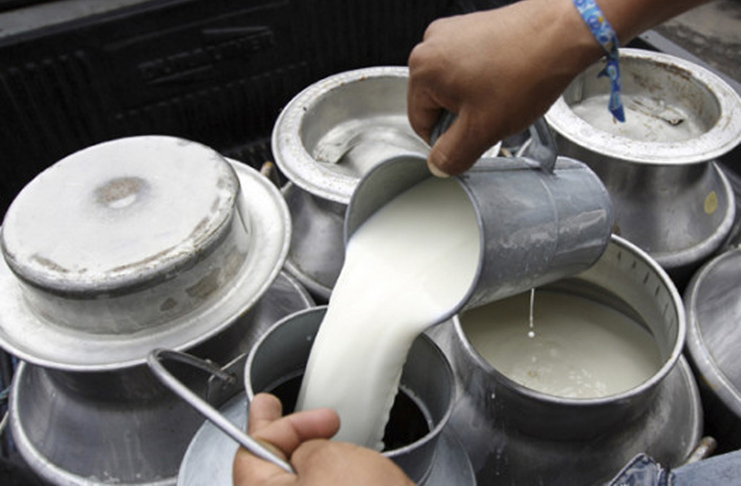 La CE planteará este lunes sus incentivos para reducir la producción láctea