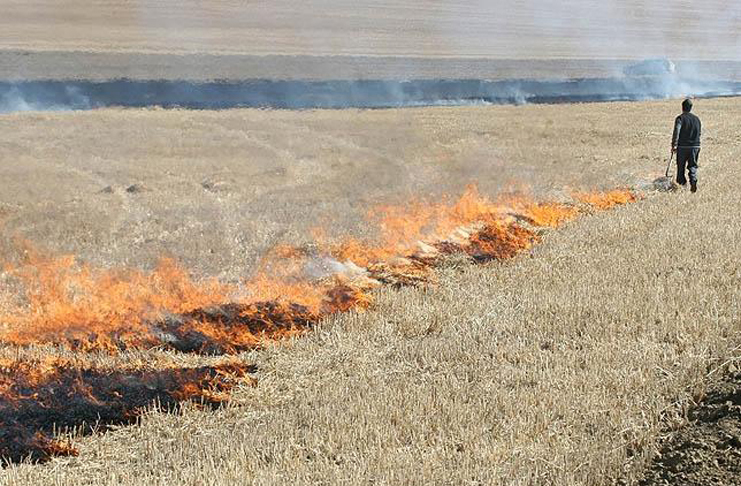 Andalucía habilita la quema de rastrojos y el volteo de la tierra hasta el 1 de marzo
