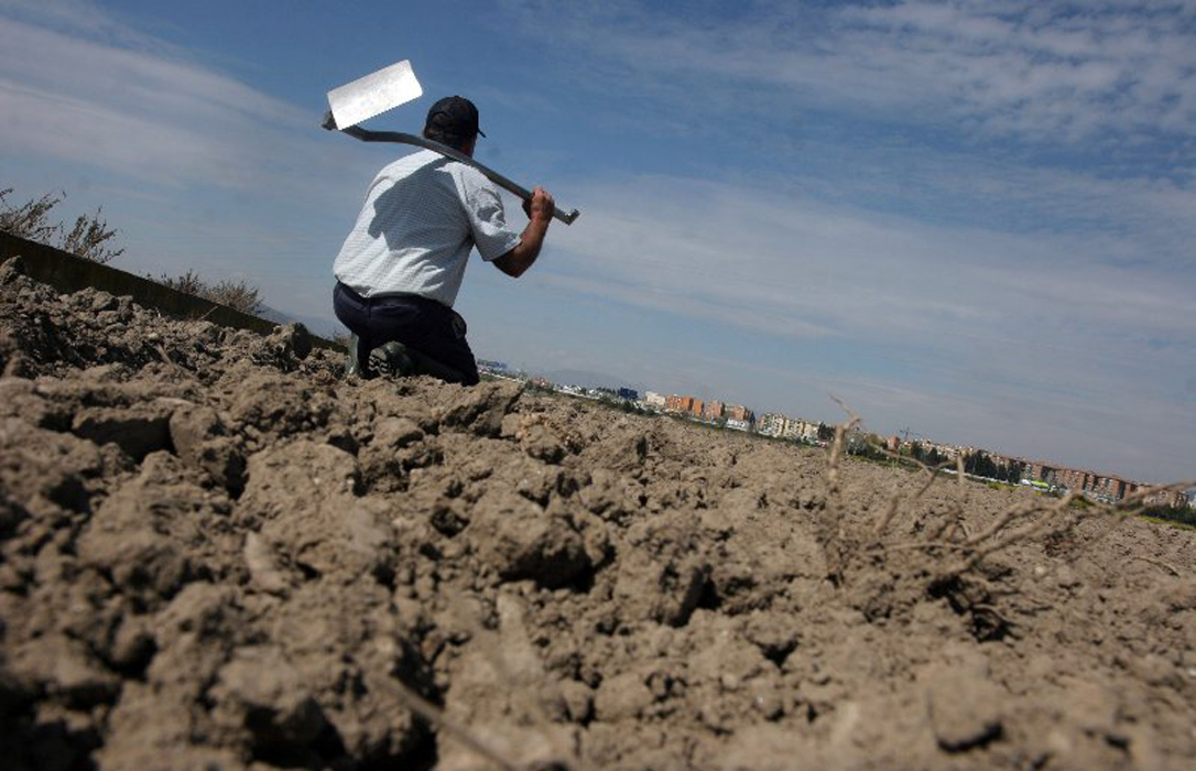 Piden la declaración de sequía extrema a la comarca de Los Vélez