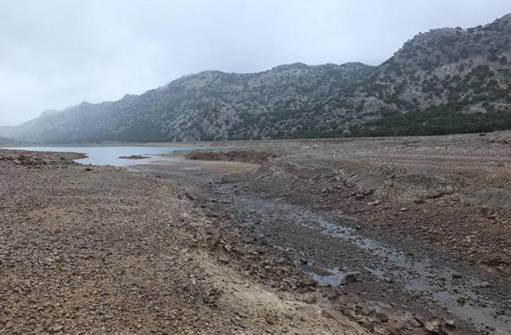 El Pla de Mallorca alcanza la situación de alerta por sequía