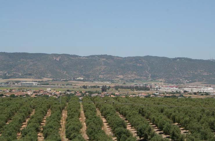 Andalucía incluye a las comunidades de bienes en las ayudas a la modernización de explotaciones