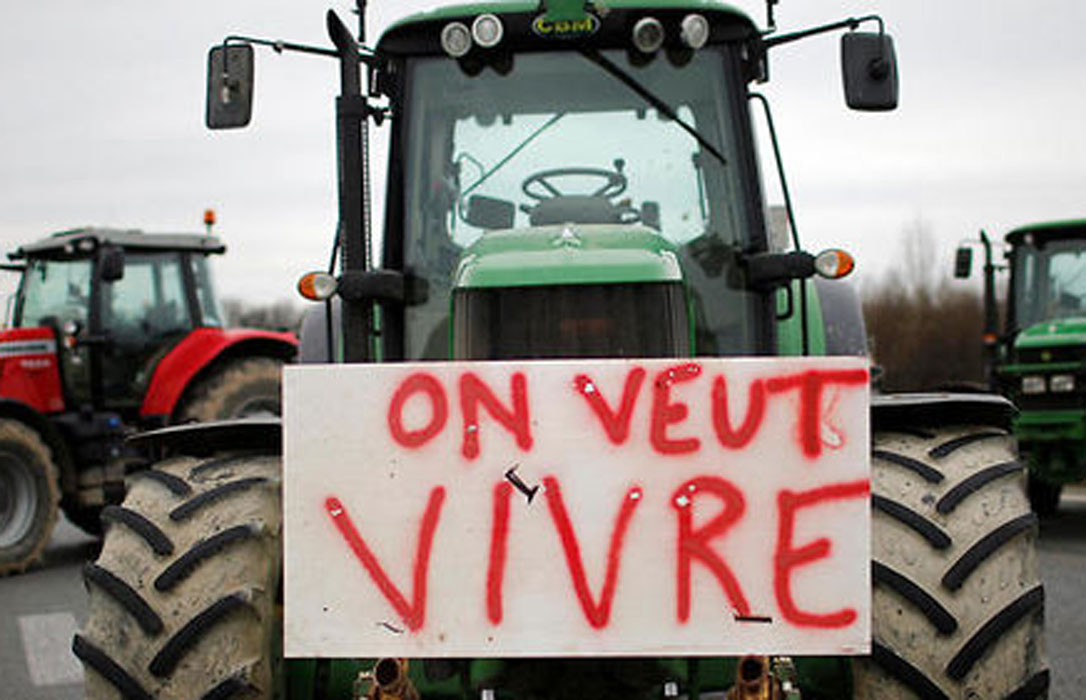 La crisis de la leche dispara las estadísticas: En Francia, un agricultor se suicida cada dos días