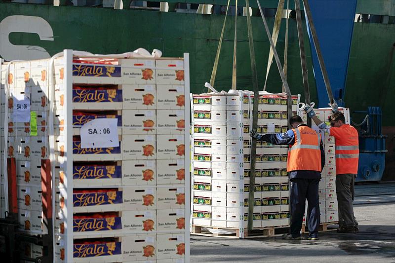 La UE contabilizó el pasado año 613 interceptaciones de frutas y hortalizas importadas de países terceros con plagas o enfermedades