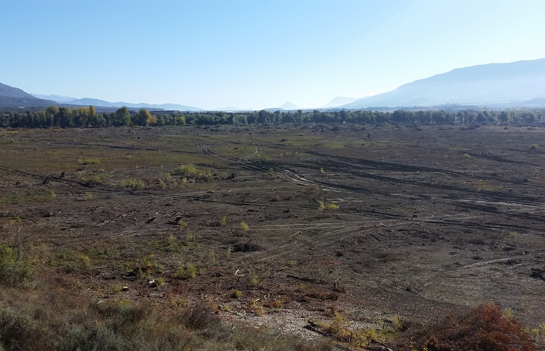 Denuncian la deforestación de más de 13 hectáreas de zona LIC en la cola del embalse de Yesa