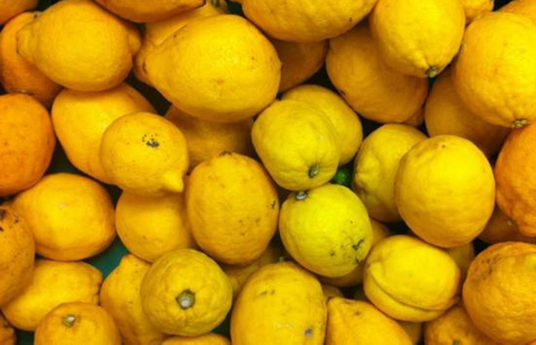 La UE aumenta los controles a los limones turcos: dos cada diez camiones serán inspeccionados
