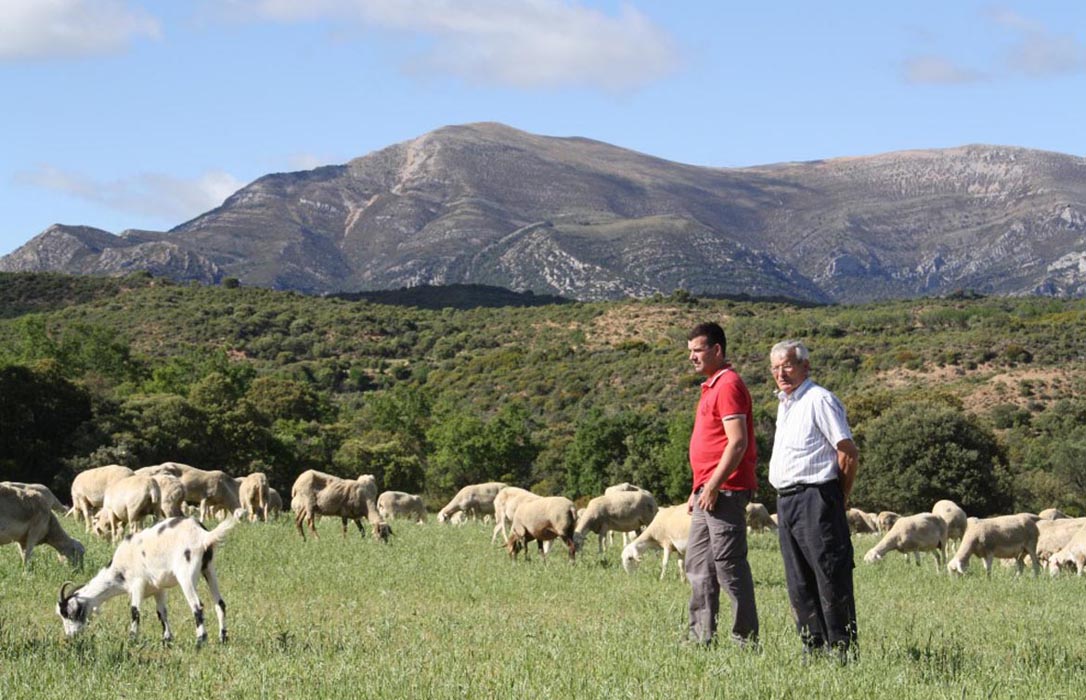 El Impuesto de Sucesiones andaluz en empresas agrarias ayuda al relevo generacional pero se queda corto