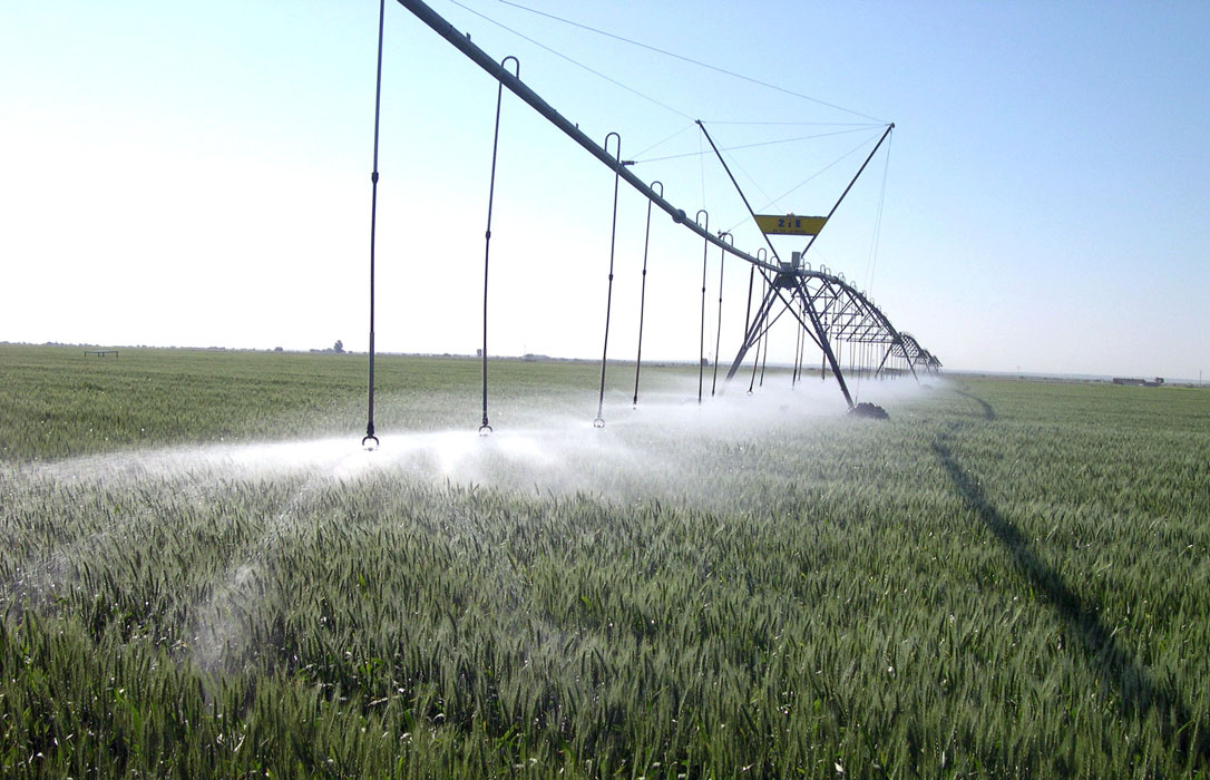 El sector agrario reclama agua y un buen Programa de Desarrollo Rural para Castilla-La Mancha