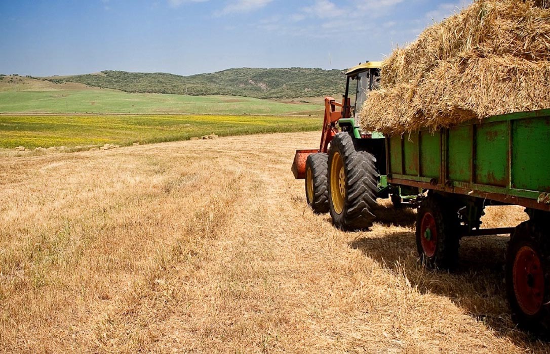 Andalucía inicia el pago de 12 millones a 8.158 agricultores de zonas con limitaciones naturales