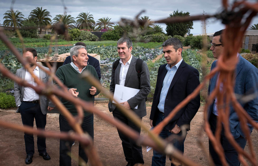 Canarias concede ayudas de hasta 70.000 euros a fondo perdido a los jóvenes agricultores y ganaderos