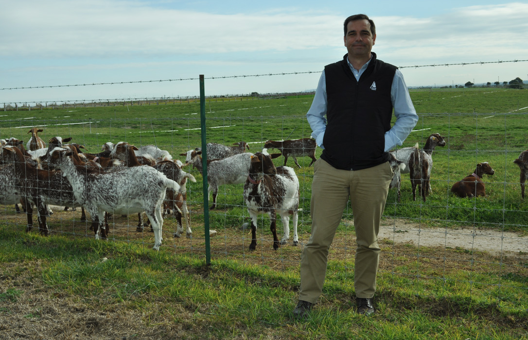 Innovación y diversificación en El Bucarito, una explotación ejemplar que aúna cabras, cerdos y agroturismo