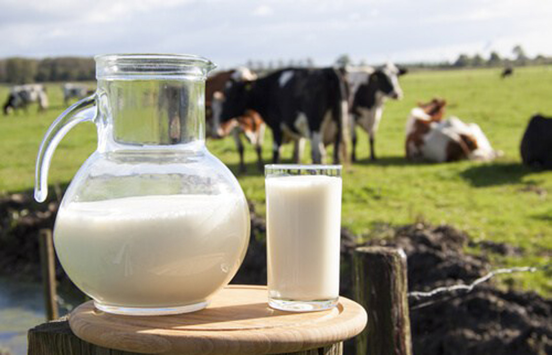 Xunta e InLac acuerdan fomentar el consumo de leche y lácteos dentro de una alimentación saludable