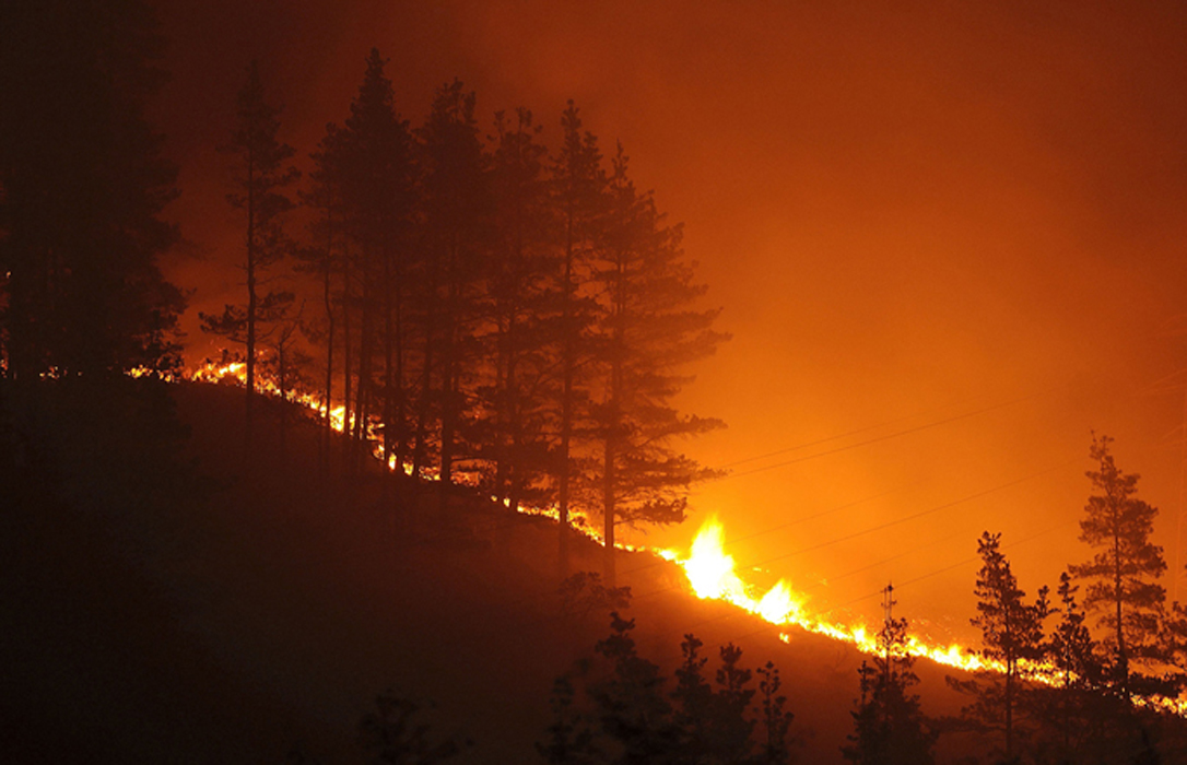 Acusan a los ecologistas de «frivolizar con los incendios y fomentar el desapego hacia determinados bosques»