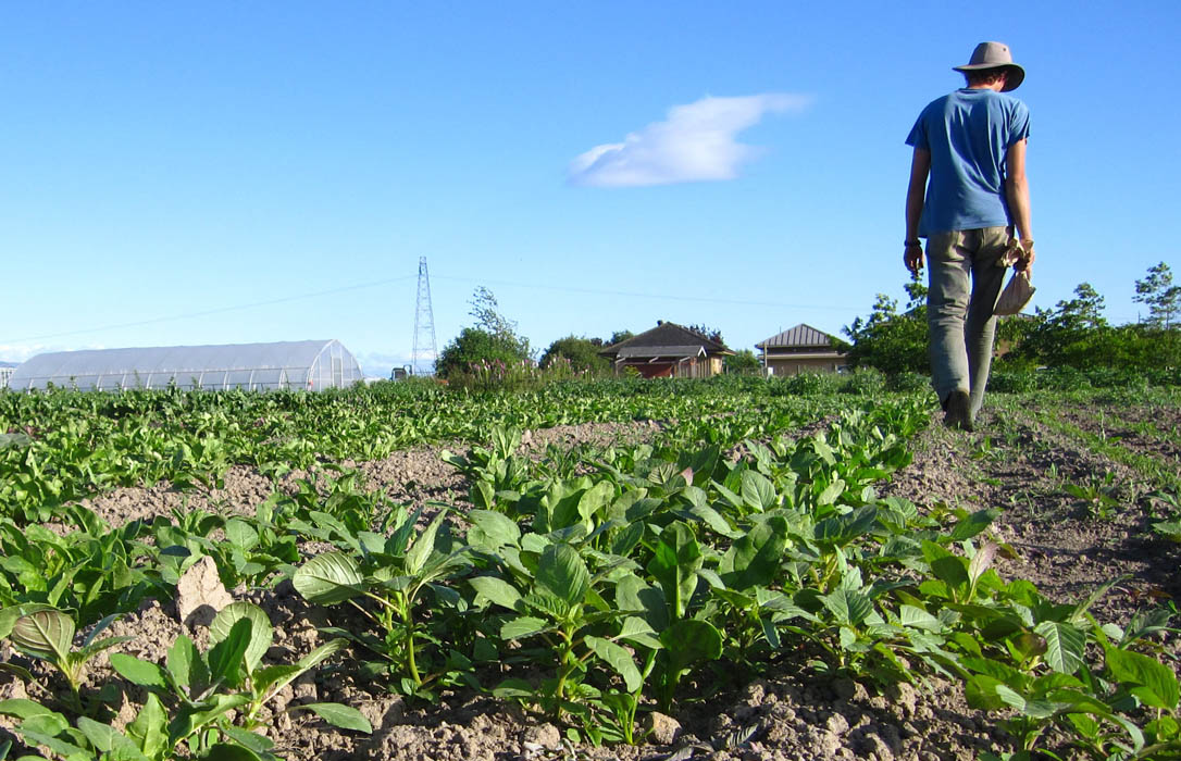 ASAJA, “muy preocupada” ante el retraso en la resolución de los expedientes de incorporación de jóvenes agricultores