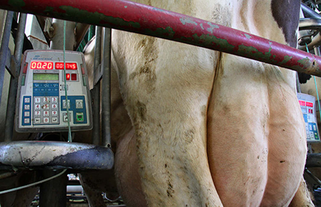 Inlac y la Xunta coinciden en pedir más «transparencia» sobre la venta de la leche y contribuir a la sostenibilidad