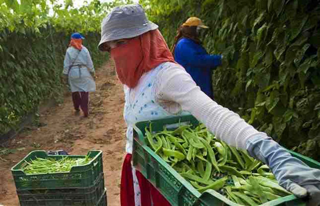 Marruecos amenaza a la UE con «graves consecuencias» si hay trabas a la aplicación del acuerdo agrícola
