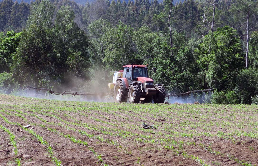 El Parlamento Europeo pide acelerar la aprobación de pesticidas de bajo riesgo frente a los fitosanitarios tradicionales