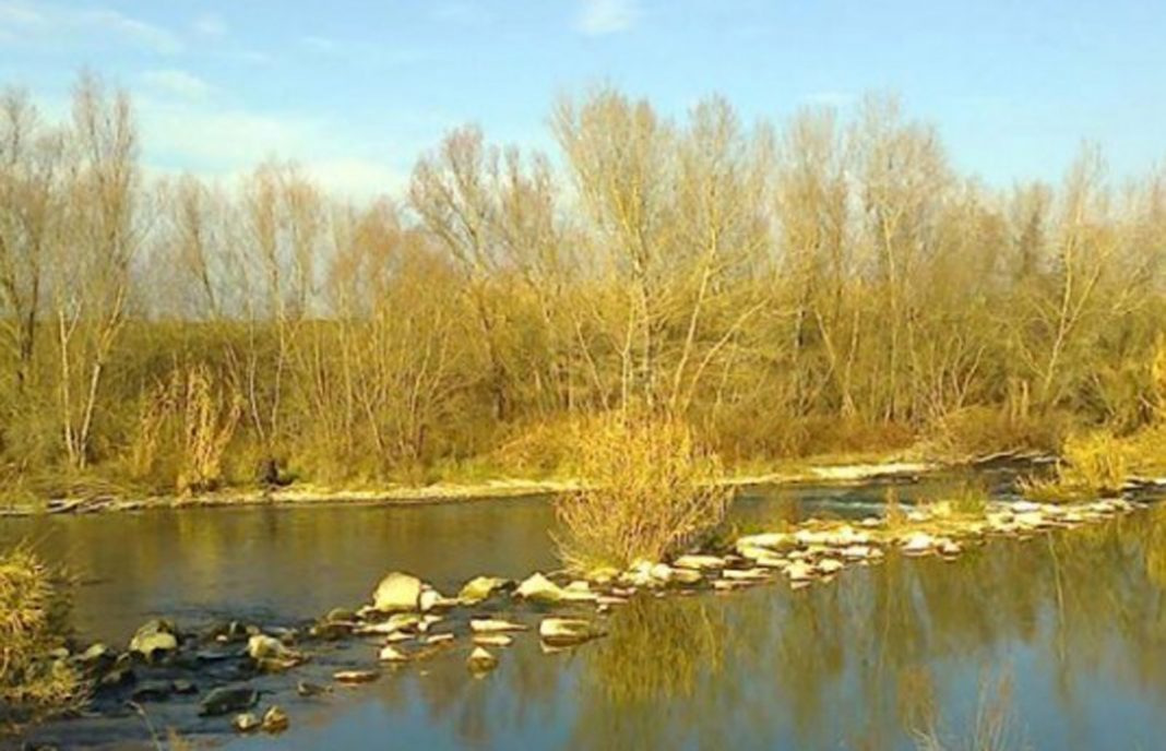 La CHE detecta tres incumplimientos en el uso de plaguicidas en la cuenca del Ebro