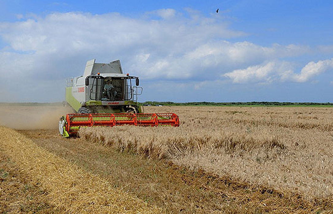 El precio del cereal ha caído un 10% en Extremadura en un año y pone en peligro la viabilidad de las explotaciones