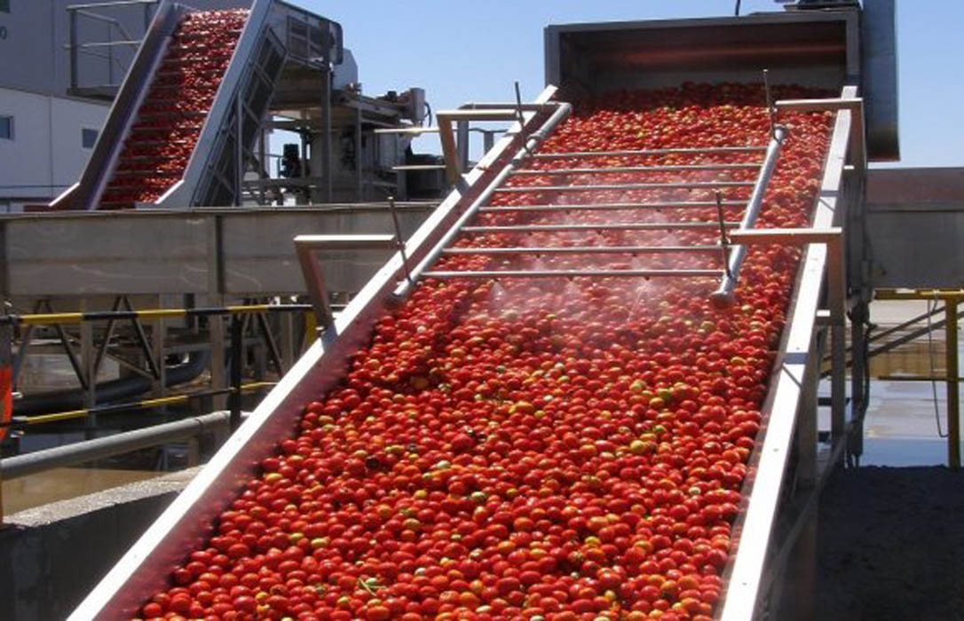 Frente común del sector para frenar una bajada de los precios del tomate por parte de la industria