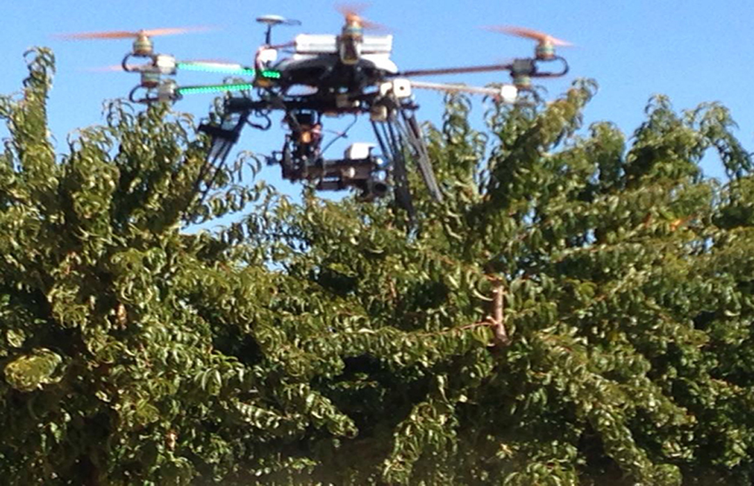 El futuro ya es presente: Drones para detectar «xylella», rayos latentes o químicos en cultivos «bio»