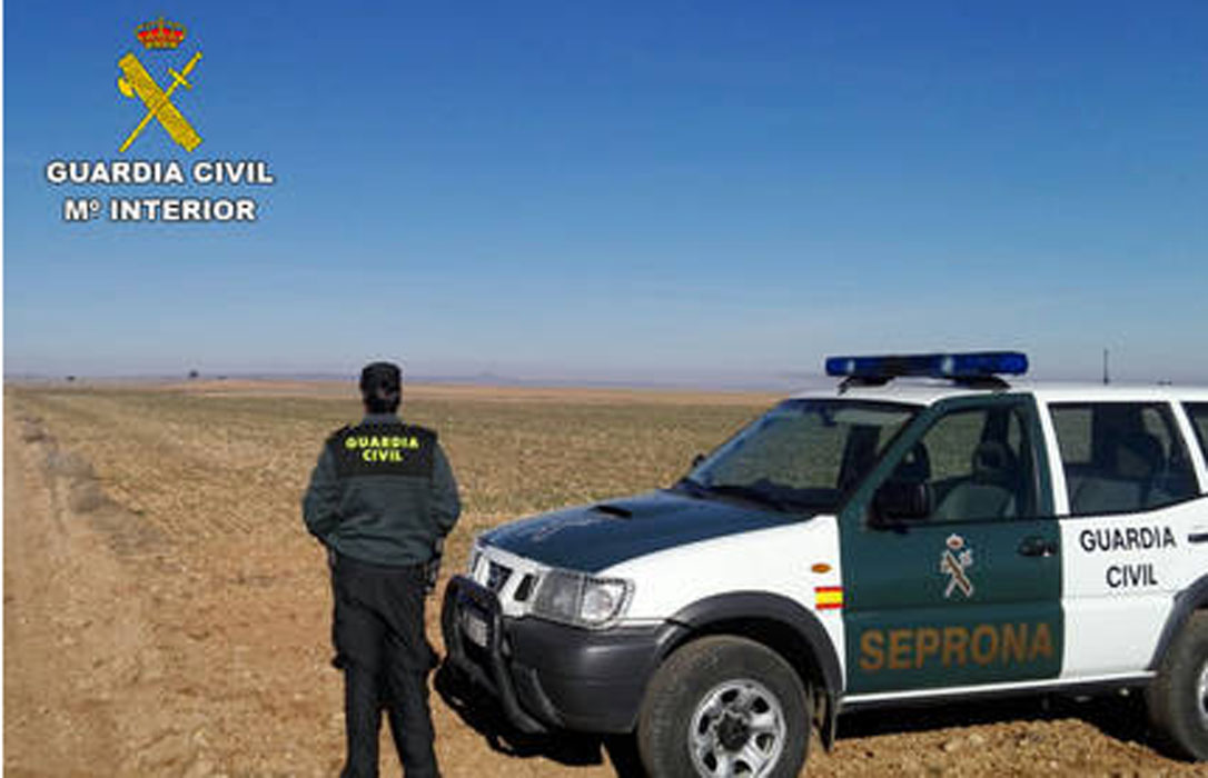 La Guardia Civil imputa a una cooperativa y ocho socios de Teruel por uso ilegal de semillas de cebada