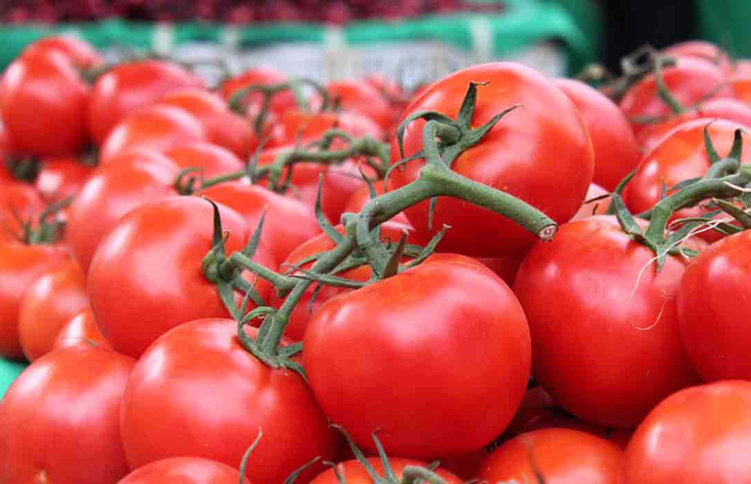 La UE respalda no considerar patentables las variedades vegetales obtenidas por procesos biológicos