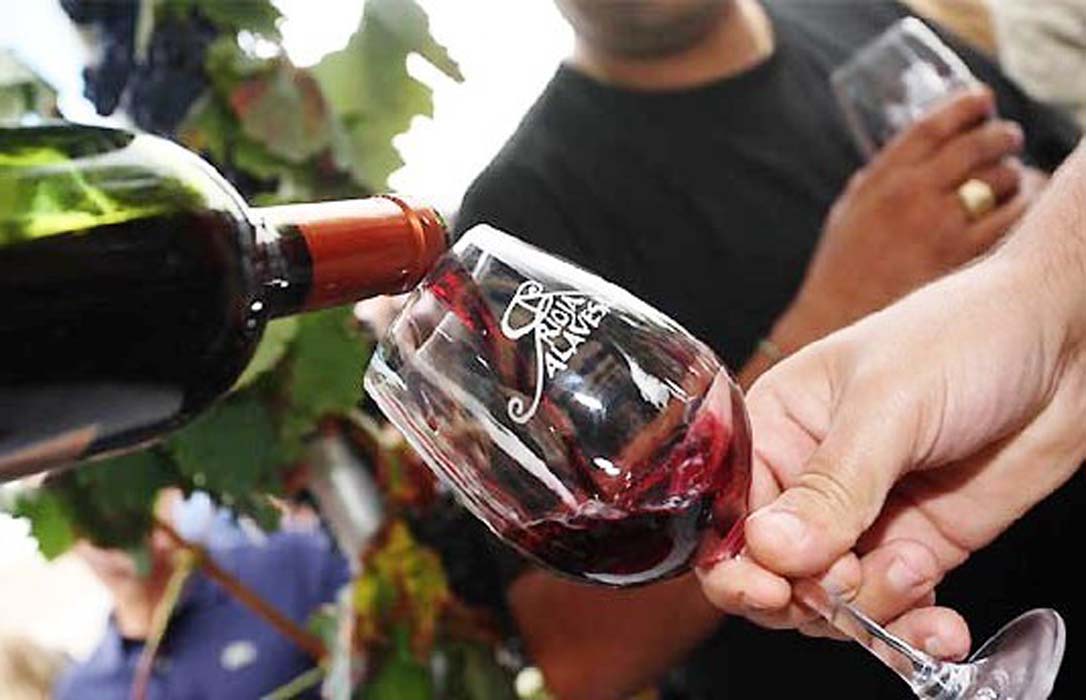Los vinos de la Rioja Alavesa baten récords de ingresos en exportación con 155 millones de euros