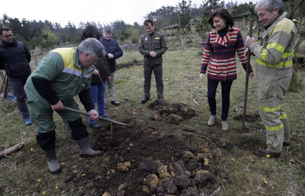 La Xunta de Galicia creará una Bandera Verde para los montes que acrediten su uso sostenible