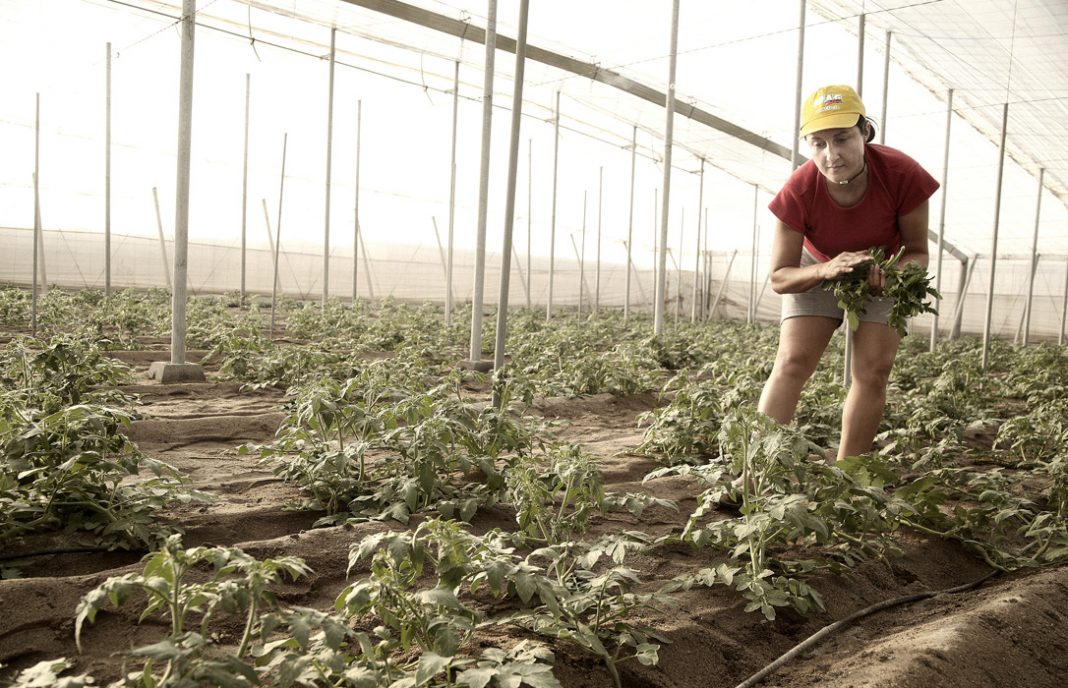 COAG y CERES piden a las agricultoras y ganaderas que secunden el paro por el Día de la Mujer