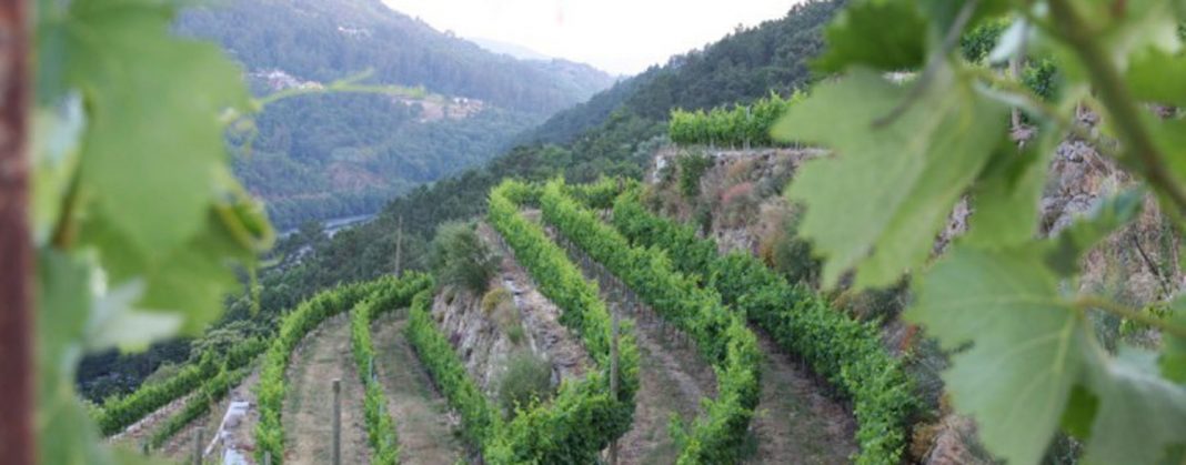 La Rioja aclarará las dudas sobre su medida de proyectos de cooperación en el Programa de Desarrollo Rural
