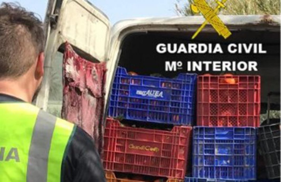 Nueve detenidos, que actuaban con cuatro coches a la vez, por robar 2.880 kilos de naranjas en una finca de Sevilla
