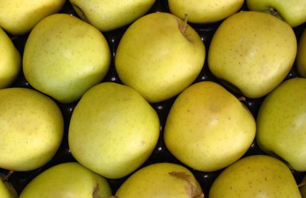 La saturación de oferta recorta el precio de origen de la manzana golden y el plátano