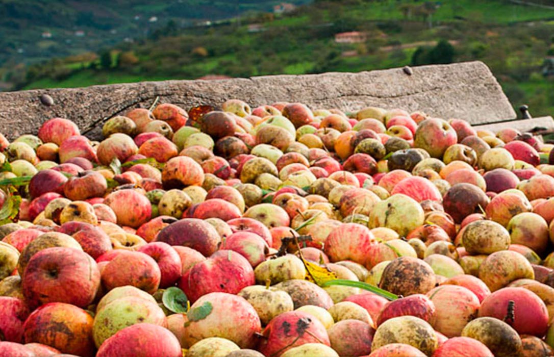 La CE concede a España un cupo adicional que no utilizaron otros países para retirar 3.015 toneladas de manzanas