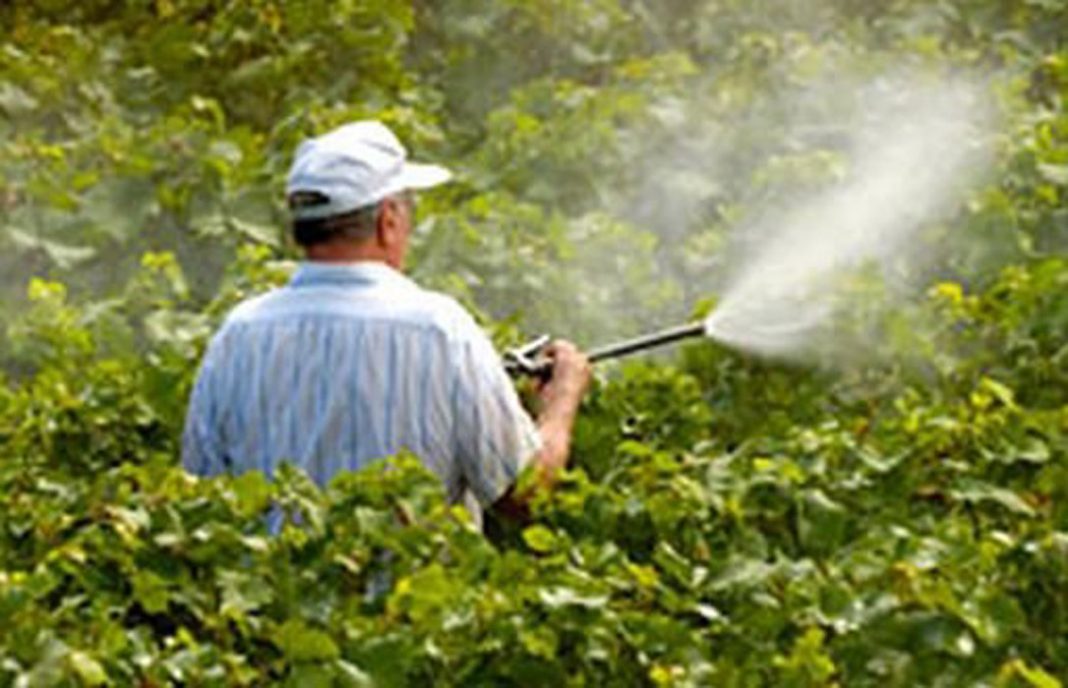 La CE contempla restringir el uso de algunos pesticidas al considerarlos dañinos para las abejas