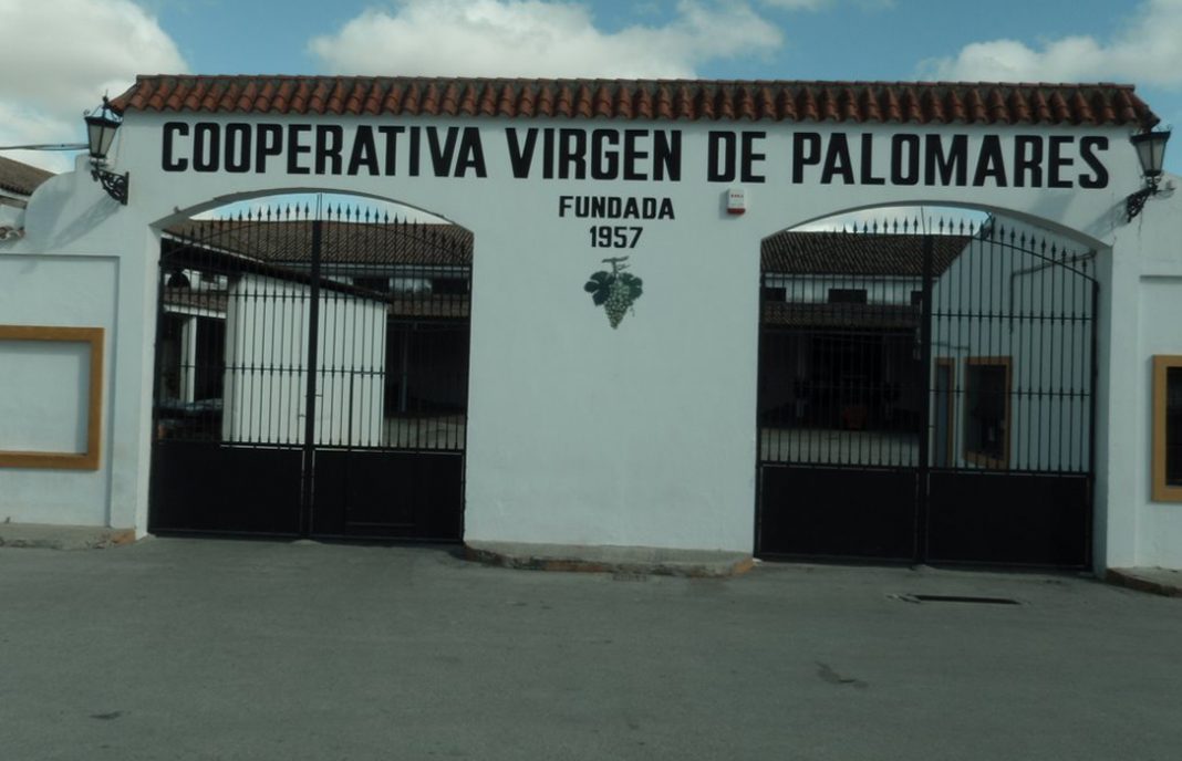 La cooperativa de Trebujena se une a la Sección de Vinos de Dcoop, que suma una nueva DO: Jerez