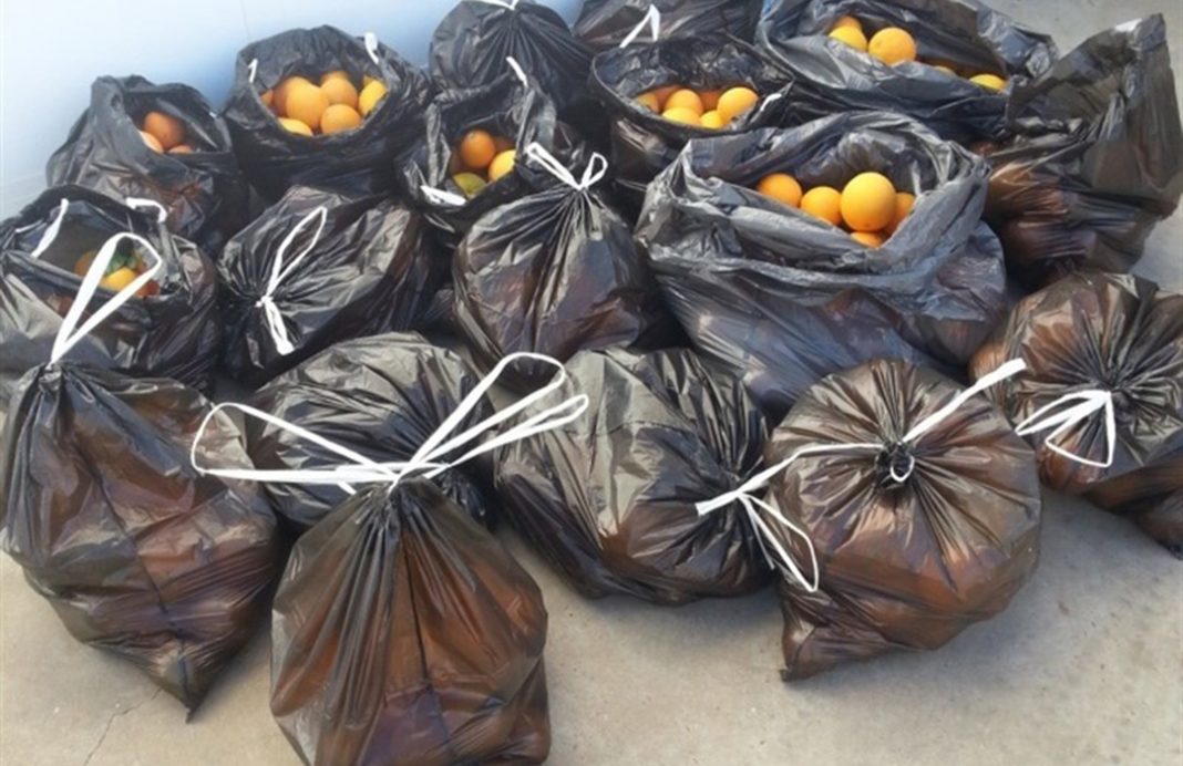 La Guardia Civil detiene a dos personas por querer robar 2.600 kilos de naranjas que dejaron inservibles