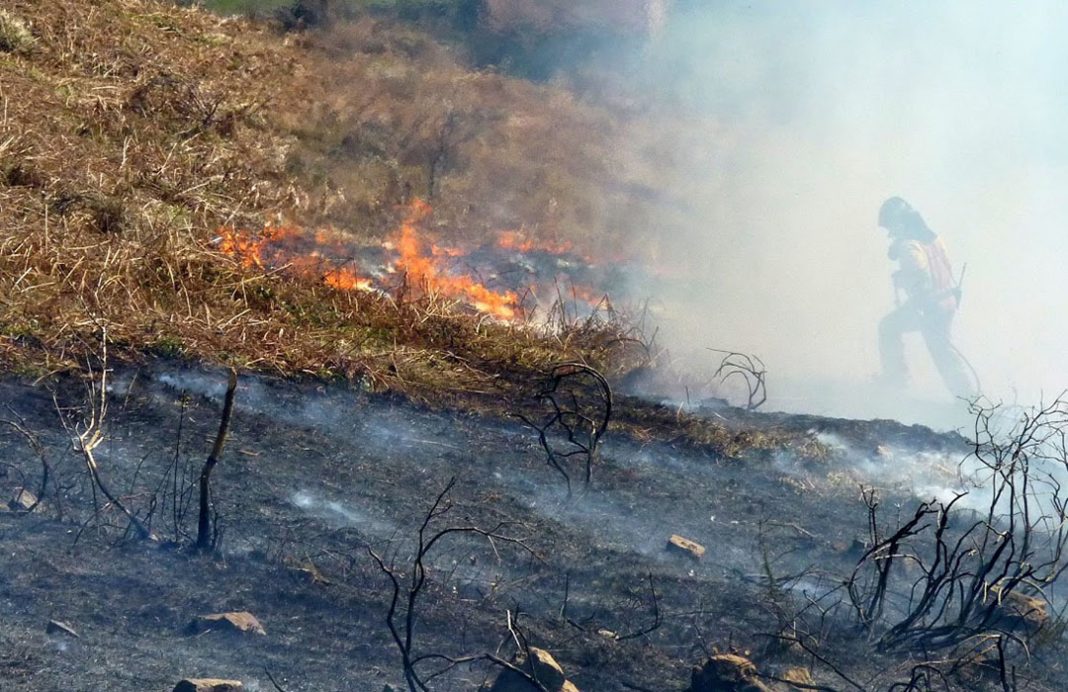 Guardas del Medio Natural de Asturias piden ser autoridad para poder investigar incendios
