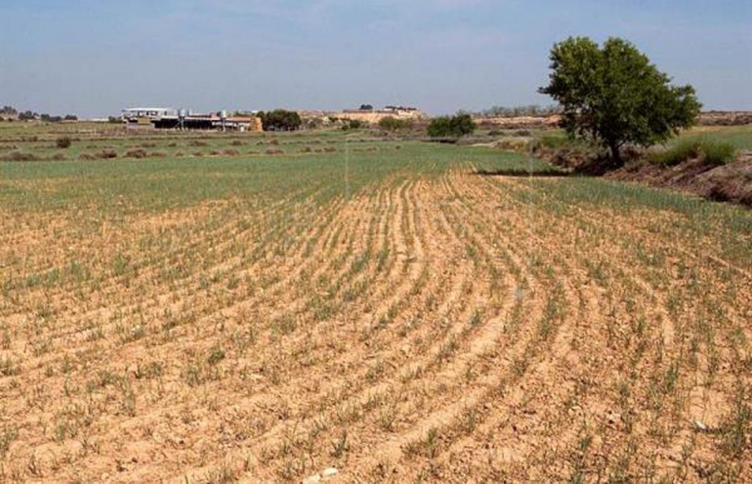 15.000 euros de las ayudas ‘minimis’ de la UE como primera alternativa para hacer frente a la sequía