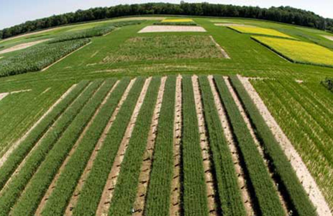 Pago verde de la PAC: 40.000 explotaciones agrarias de más de 10 ha aumentaron el número de cultivos en 2016